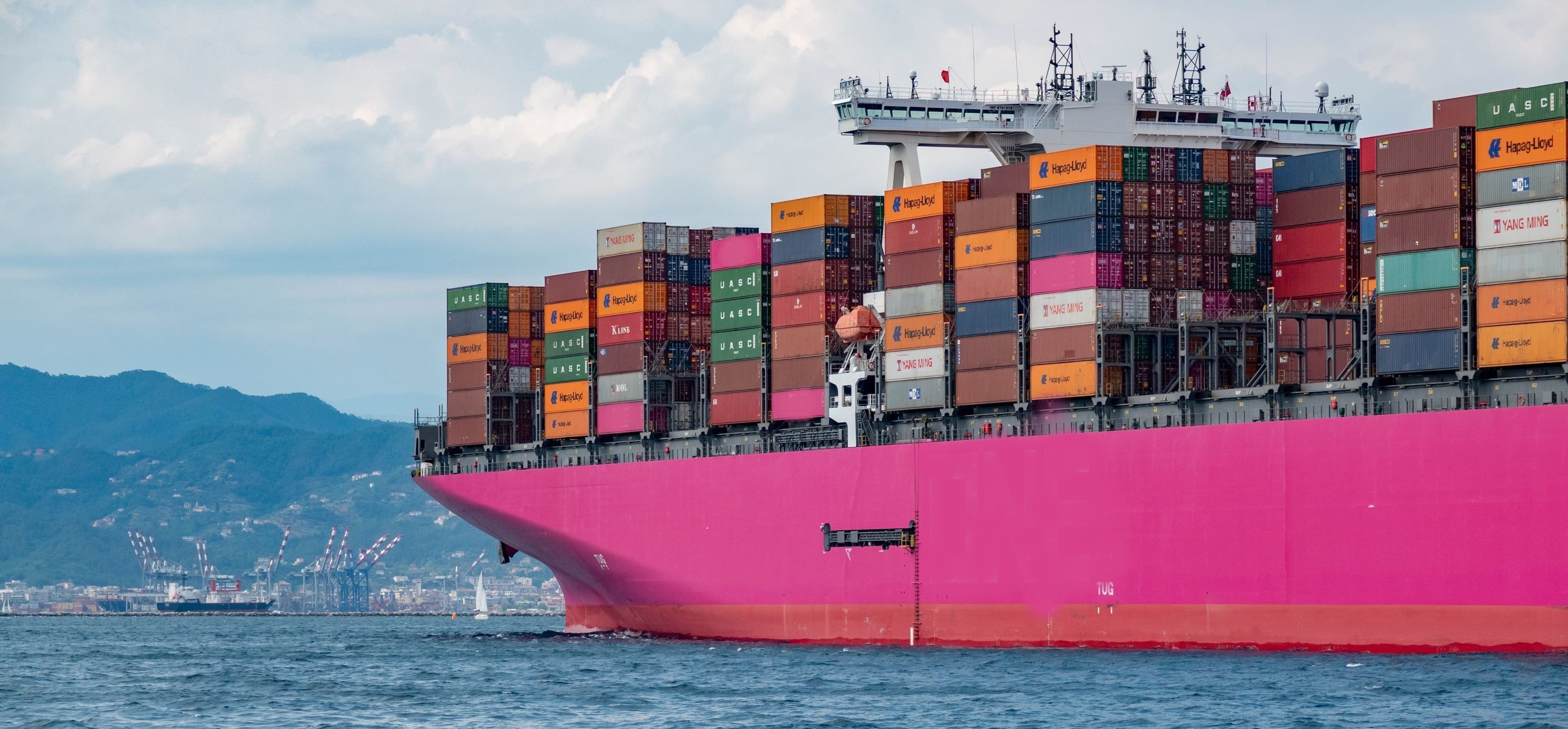 CRANE TO TRAIN, WE DO EVERYTHING